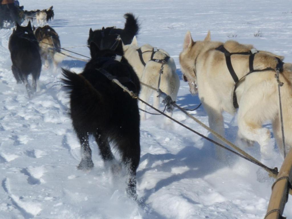 Engholm Husky Design Lodge カラショク エクステリア 写真